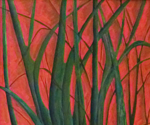 Natura viva